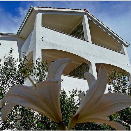 Apartments Purkovic 沃迪切 外观 照片