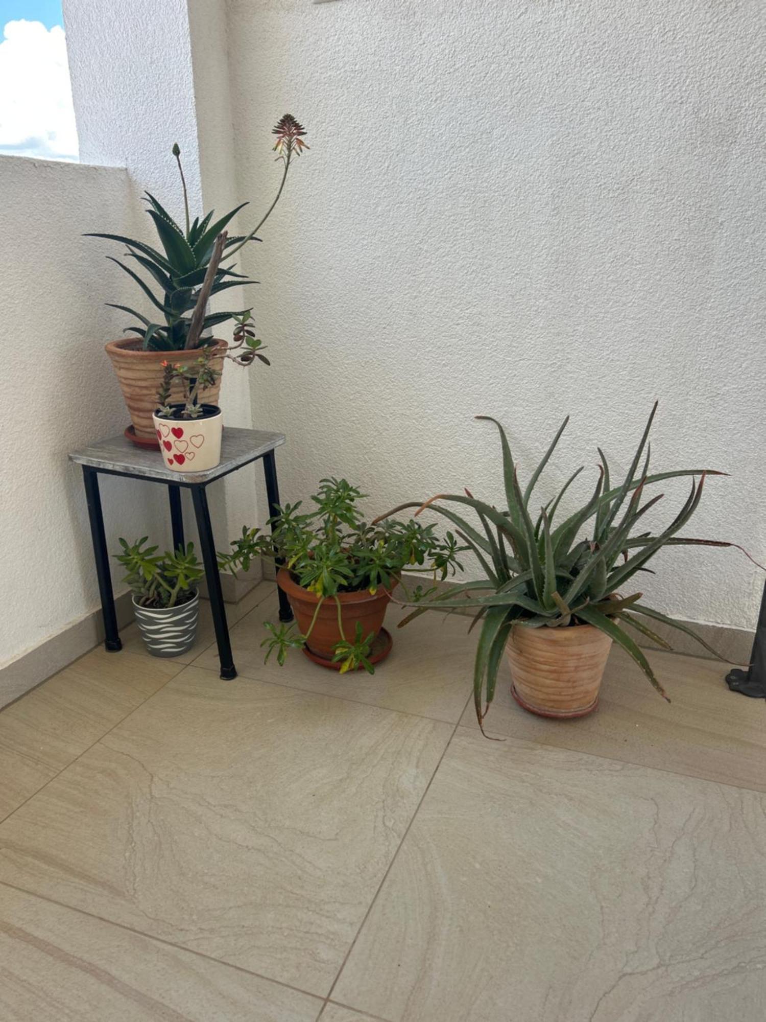 Apartments Purkovic 沃迪切 外观 照片