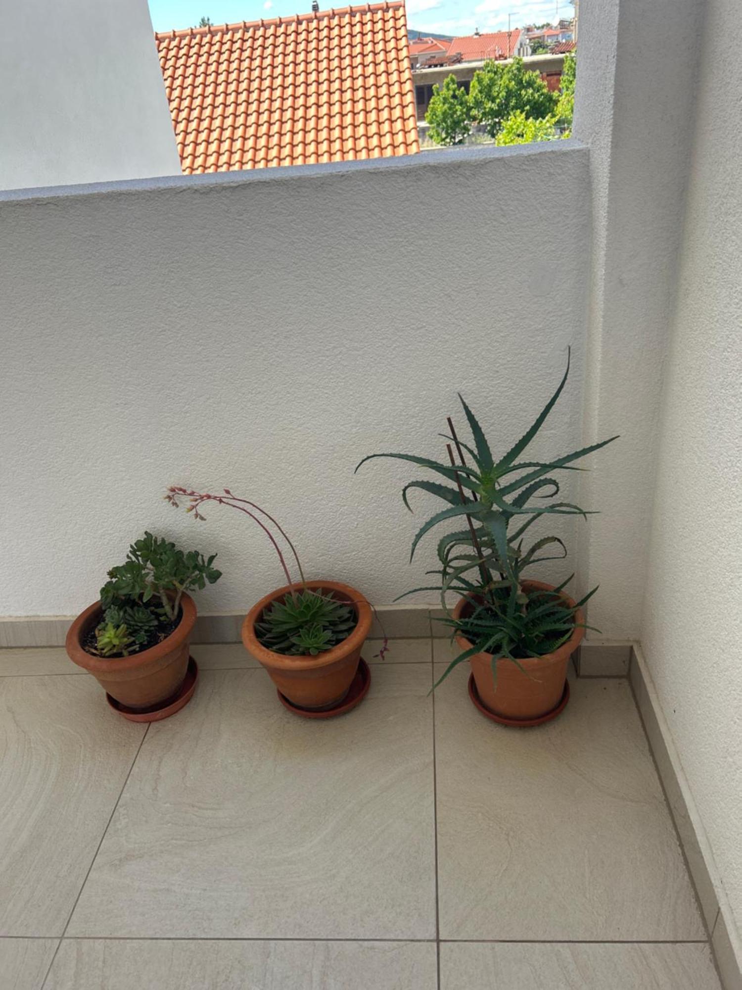 Apartments Purkovic 沃迪切 外观 照片